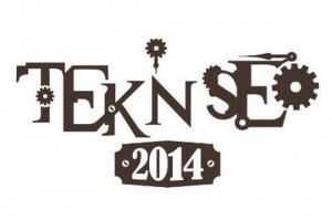 teknseo2014