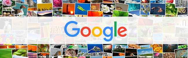 google-images-sauvegarde-classement