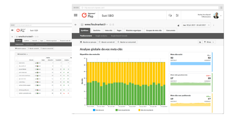 rank tracking interface