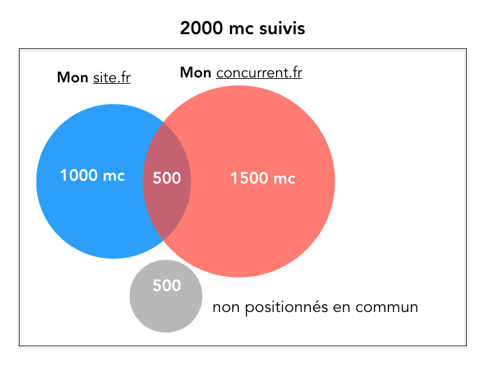 reporting-seo-croise-sea-concurrence